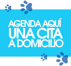 Check spelling or type a new query. Bano De Perros A Domicilio