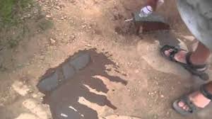 Explain the role of animals in the life of early men. 1400 Year Old Pit House Floor Youtube