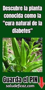 Si quieres saber mas visita el enlace de abajo. 50 Ideas De Remedios Para La Diabetis Consejos Para La Salud Remedios Para La Salud Remedios