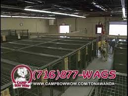 Camp bow wow is the premier doggy day care and boarding facility, where a dog can be a dog.® | twuko. Camp Bow Wow Tonawanda Wmv Youtube