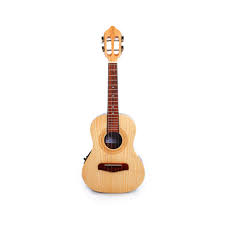 Image result for Cavacoa