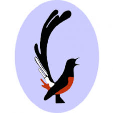 Kepopulerannya tidak hanya dikenal di indonesia saja, namun juga sampai ke mancanegara dan seluruh dunia. Harga Anakan Murai Batu Penangkaran Bertahan Tinggi Om Kicau