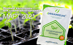 Астросфера лунный календарь на 2021 годлунный календарь на март 2021 года. 1w0wbjretm0asm