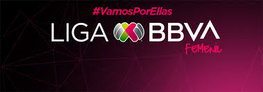 Liga Mx Pagina Oficial De La Liga Mexicana Del Futbol Profesional 34117 Www Ligamx Net