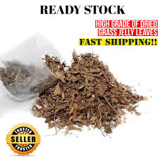 Bahan dasar cincau hitam yakni daun janggelan kering. Buy Daun Cincau Hitam Kering Dried Grass Jelly Leaves Vietnam 500 Gram 1 Kg Seetracker Malaysia