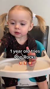 Adorable Baby Wren Eating Pickles Compilation