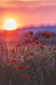 Elvenlake Dont Let Sun Go Down Beaux Fonds D Ecran Paysages Printemps Fond Ecran Gratuit Paysage