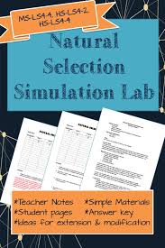 Natural Selection Simulation Lab Ngss Ms Ls4 4 Hs Ls4 2 Hs Ls4 4 Graphing Linear Inequalities Word Problem Worksheets Teacher Notes
