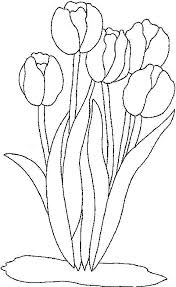 Clip art clipart svg negru alb lineart contur desen 7 petale floare florale decor plante de colorat carte. Planse De Colorat Flori Lalele De Colorat P28 Desene De Colorat Flori Lalele De Colorat P28