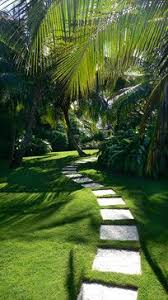 Caribbean Garden Landscape Design Tropical Garden Design Modern Landscaping