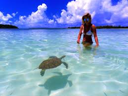 Bluff Resort Marina Green Turtle Cay Bahamas Booking Com