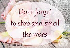 On The Road Of Life Don T Forget To Stop And Smell The Roses Quote Inspirational Words Smelling Words