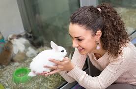 Specializing in organic food and supplies, healthy pet carries over 25 lines of organic and holistic foods, including frozen foods. The 10 Best Pet Stores In Illinois