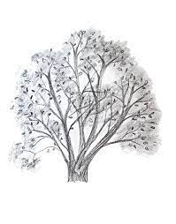 Moving on with your tree sketch, form the trunk of your tree with two vertical lines. How To Draw A Tree Happy Family Art