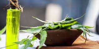 Oct 17, 2017 · kartun gambar orang berjaket keren written by desain rumah tuesday, october 17, 2017 add comment edit. Daun Mimba Dan 7 Manfaatnya Untuk Kesehatan Apakah Ada Efek Sampingnya