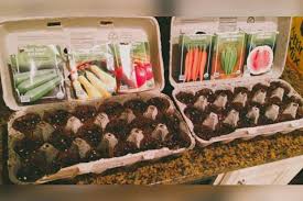 Osterhasen basteln, ostereier dekorieren oder bemalen, nähen für ostern, ostergeschenke selber. 10 Kreative Und Praktische Bastelideen Fur Eierkartons Sat 1