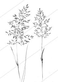 Set 4 Spikelet Sketch Botanical Art Print Hygge Digital Etsy In 2020 Botanical Art Herb Tattoo Grass Drawing