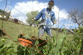 Monsieur le maire et la municipalité présentent leurs condoléances aux proches de la famille. Bessan Debroussailler C Est Eviter Les Risques D Incendie Et C Est Obligatoire