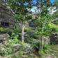 A Late Spring Naturalist Walk with Loren Merrill
