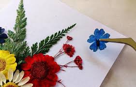 The eternal rose flower is perfect and impeccable. How To Frame Pressed Flowers Greetings Of Grace