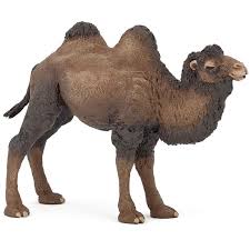If you make a purchase using one of these links, i may be paid a. Papo Wild Animal Kingdom Bactrian Camel