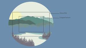 Understanding Crop Factor B H Explora