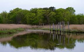 We did not find results for: Cheesequake State Park Wikiwand