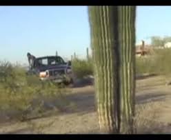 They are a result of several years of teaching people and two years of filming and editing. Guy Jumps Into Cactus From Truck Jukin Media Inc