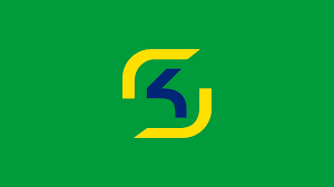 A Simple Sk Gaming Wallpaper Inspired By The Brazilian Flag Games Globaloffensive Csgo Counterstrike Hltv Cs Stea Team Wallpaper Sk Gaming Country Flag