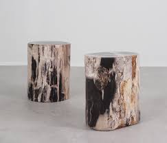 Whether you want to keep your remote, snacks or a book, an end table is super handy. Dappled Petrified Wood Log Table Architonic