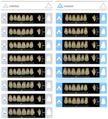 Enigma Mold Chart Specialty Tooth Supply Ltd