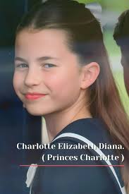 Introduction to Eleanor Kate, English Spaniel