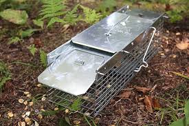 After a couple of real lucky shots after one box of 100 pellets, i gunned down one and think i hit another. Best And Worst Squirrel Traps