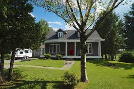 Condo Chalet Ou Maison A Vendre Avec Un Courtier Immobilier Tree Trunk Plants Remax