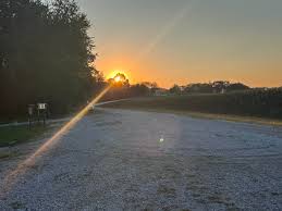 Robert's Bluff Camping