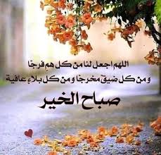 Pin By Said Swelem On صلوات على محمد واله و صباحياة Flower Girl Photos Good Morning Arabic Morning Quotes Images