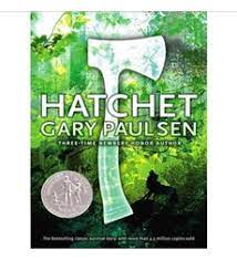Hatchet By Gary Paulsen