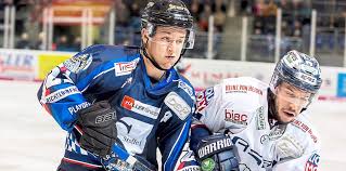 Hier finden sie alle nachrichten, ergebnisse, tabellen, statistiken eishockey news app. Spiel 2 Der Pre Playoff Serie Steht An Tigers Vs Eisbaren Duell Der Mentalitat Straubing Tigers Idowa