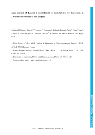 Consultez notre foire aux questions. Https Hal Archives Ouvertes Fr Hal 02110975 File M C3 A9tivier 2019 Dual 20control 20of 20kinesin 1 20recruitment 20to 20microtubules 20by 20ensconsin Pdf