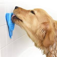 Since 1999, mudpuppy's has cared for thousands of pups from all around the bay area, and we are after sniffing everything in sight and rolling around in the mud, bring your best friend to mudpuppy's. 10 Best Dog Grooming Essentials 2021 Hgtv