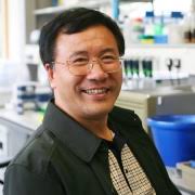 MZH29 is a novel potent inhibitor ...