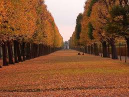 34 Bilder Die Beweisen Dass Hannover Die Schonste Stadt Deutschlands Ist Mit Bildern Schone Stadte Deutschland Stadte Deutschland Hannover