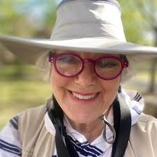 Caribbean Brown Pelican 🇦🇼