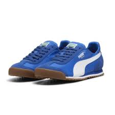 Image result for Ultramarine Blue 2001 Puma