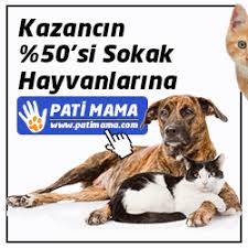Https Encrypted Tbn0 Gstatic Com Images Q Tbn And9gcqs2f0yqbfn9t1kqizmkjjpe6irfye1axy9bq Usqp Cau