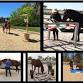 6th Annual Obstacle Challenge event image