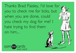 Music Music Humor Someecards Funny Dogs