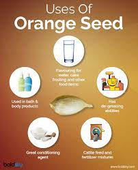 Health Benefits Of Orange Seeds That You Must Know Boldsky Com