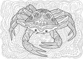 Free crabs coloring pages for kids. Free Crab Coloring Pages For Download Pdf Verbnow