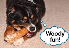 Maybe you would like to learn more about one of these? 33 Best Dog Toys 1 000 Tested And Reviewed